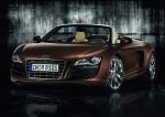 Audi R8 Spyder 5.2 FSI Quattro 2010 года (WW)